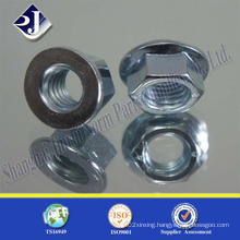 Hex Flange Nut with Blue Zinc